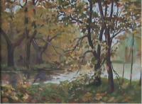 DSC00520.JPG